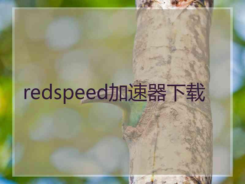 redspeed加速器下载