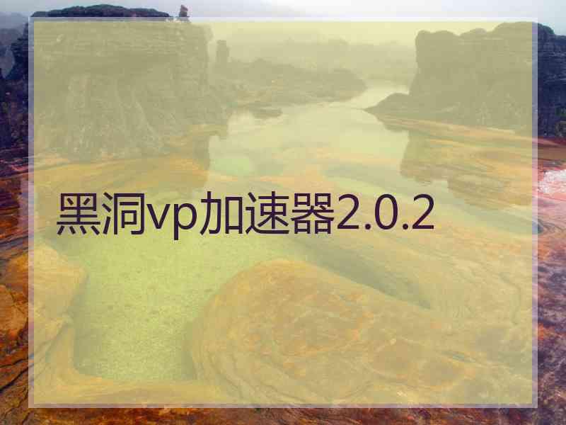 黑洞vp加速器2.0.2