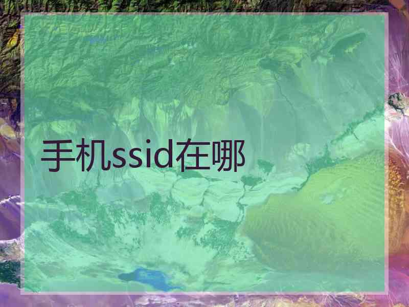 手机ssid在哪