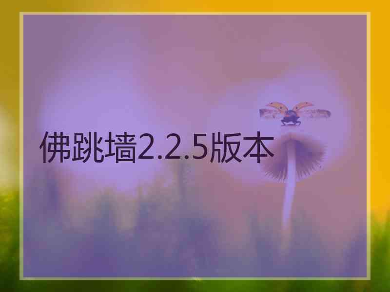 佛跳墙2.2.5版本