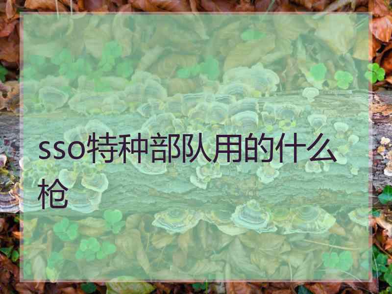 sso特种部队用的什么枪