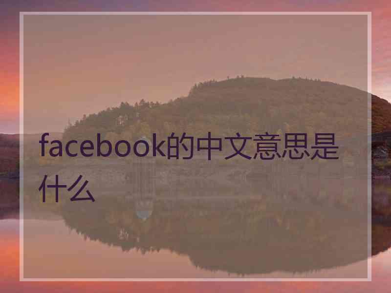 facebook的中文意思是什么