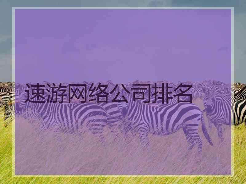 速游网络公司排名