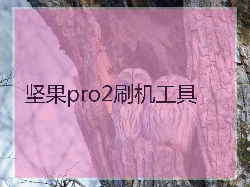 坚果pro2刷机工具