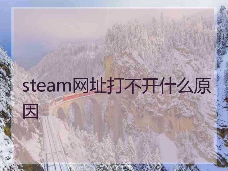 steam网址打不开什么原因