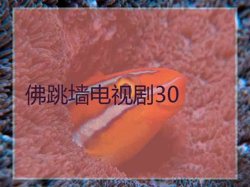 佛跳墙电视剧30