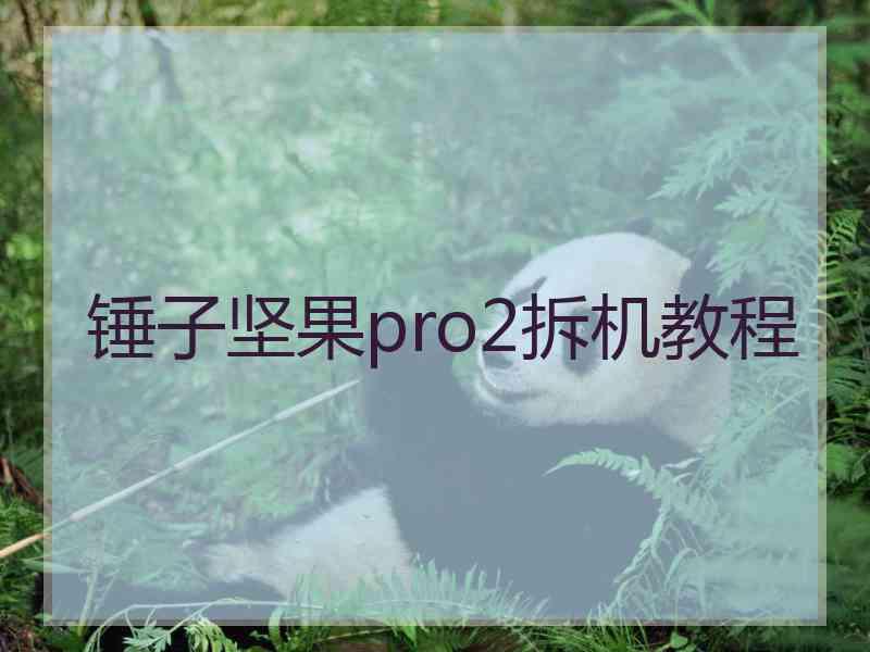 锤子坚果pro2拆机教程