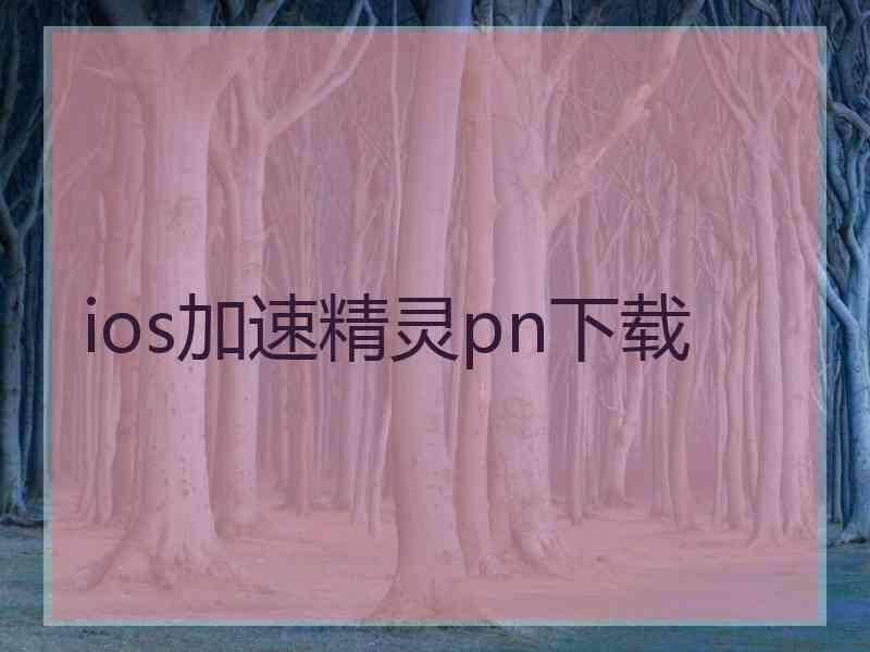 ios加速精灵pn下载