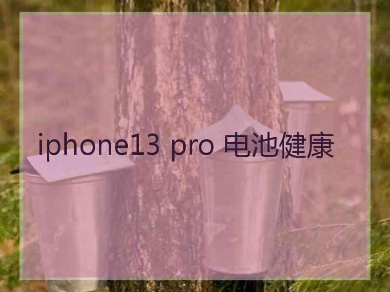 iphone13 pro 电池健康