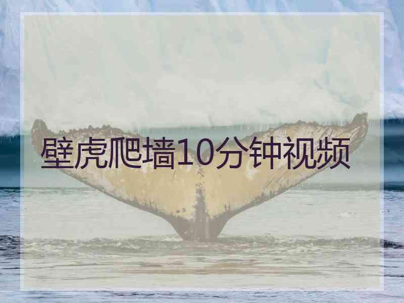 壁虎爬墙10分钟视频