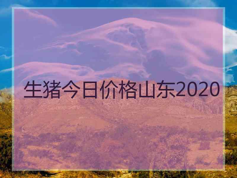 生猪今日价格山东2020