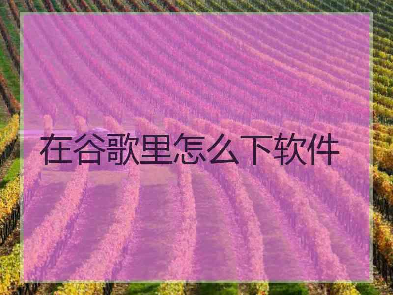 在谷歌里怎么下软件