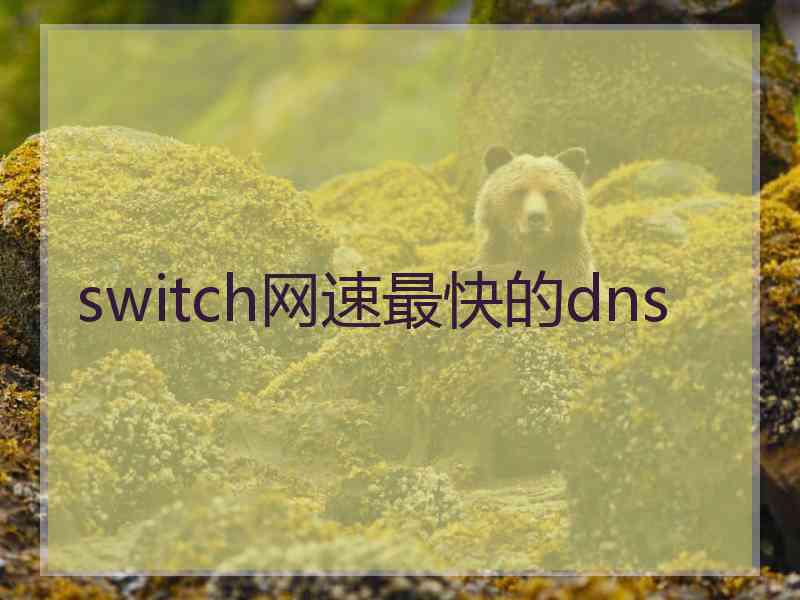 switch网速最快的dns