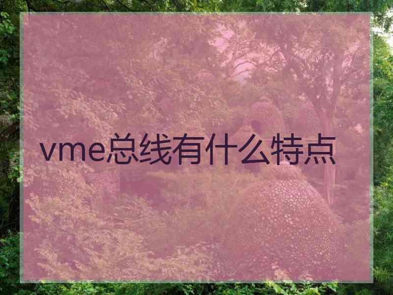 vme总线有什么特点