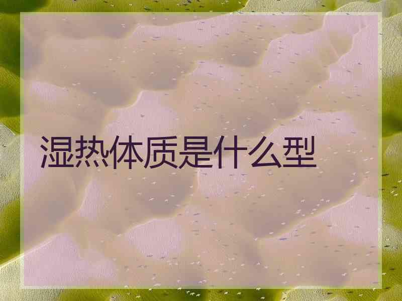 湿热体质是什么型