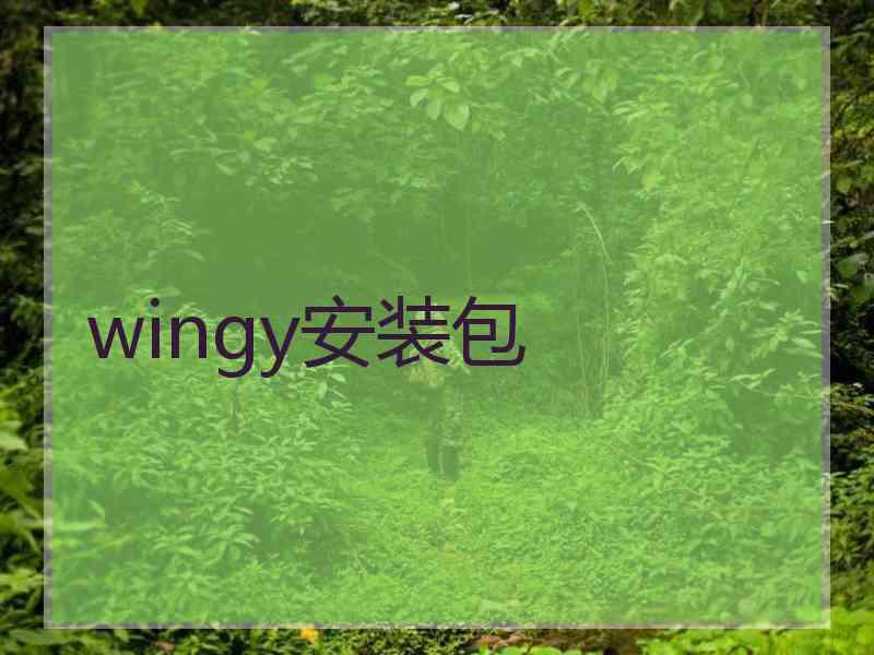 wingy安装包