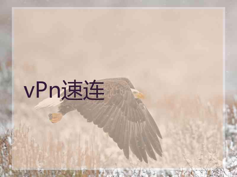 vPn速连