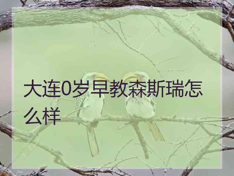 大连0岁早教森斯瑞怎么样