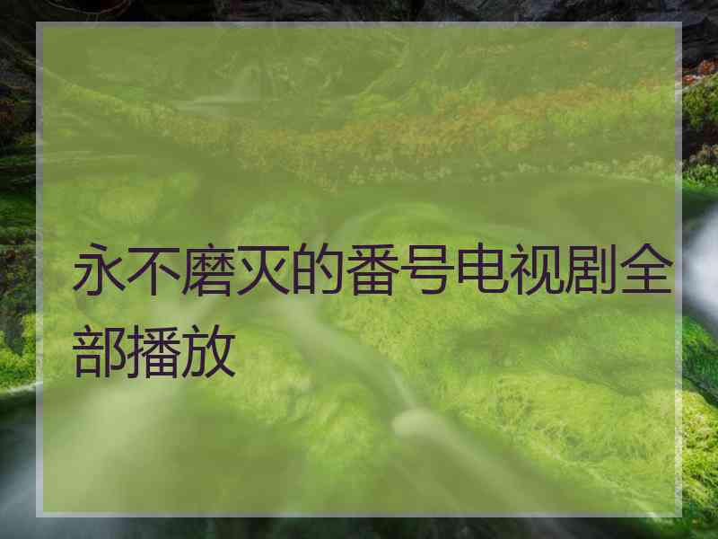 永不磨灭的番号电视剧全部播放