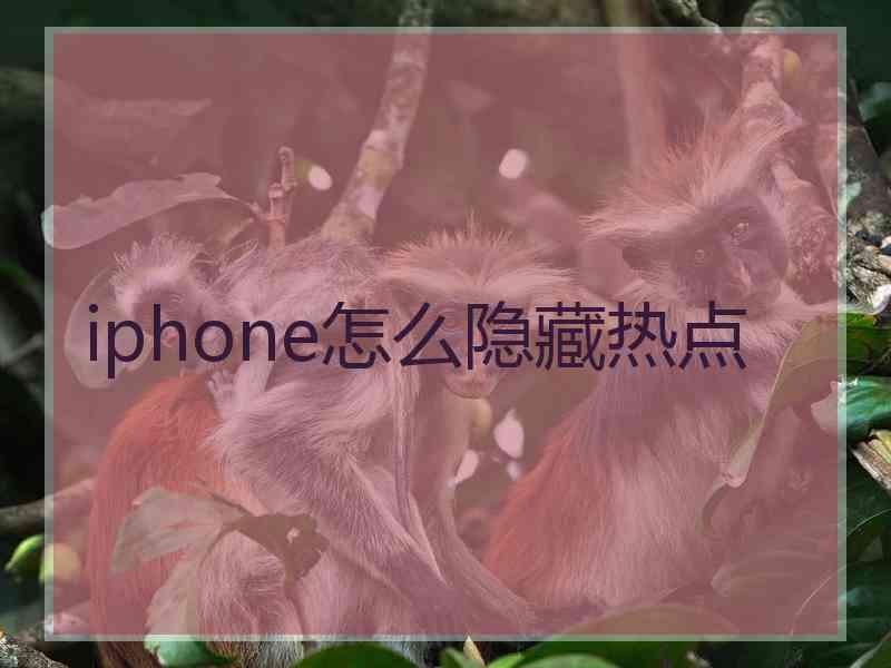 iphone怎么隐藏热点