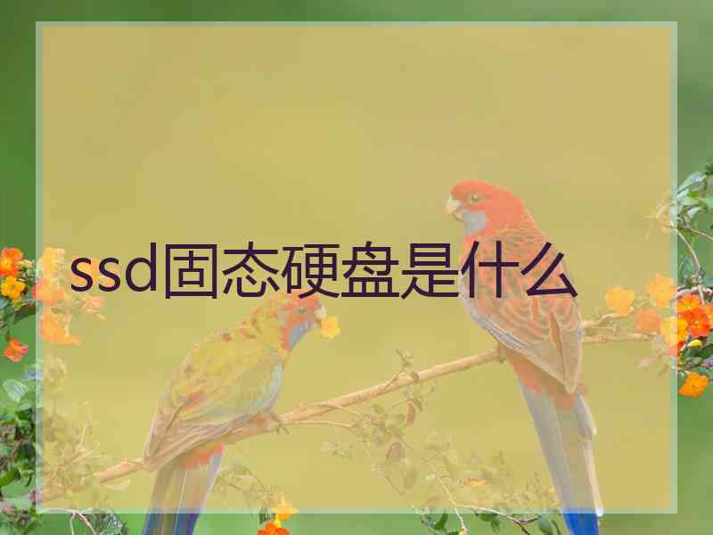 ssd固态硬盘是什么