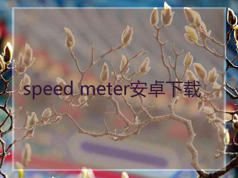 speed meter安卓下载