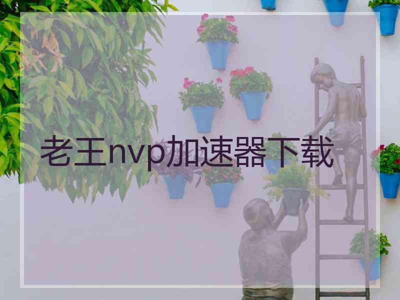 老王nvp加速器下载