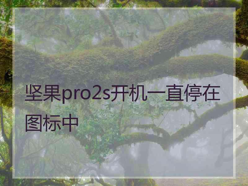 坚果pro2s开机一直停在图标中