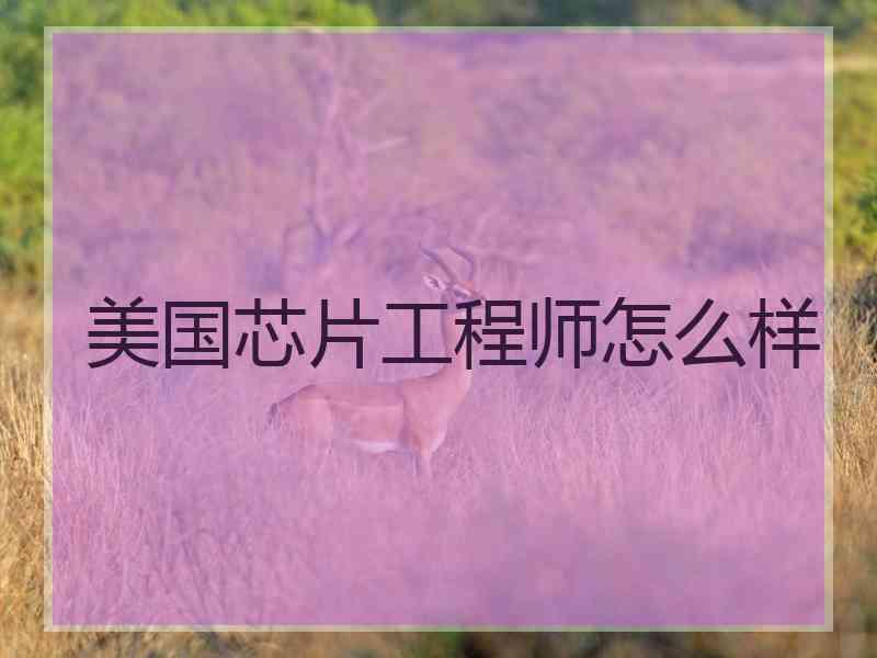 美国芯片工程师怎么样