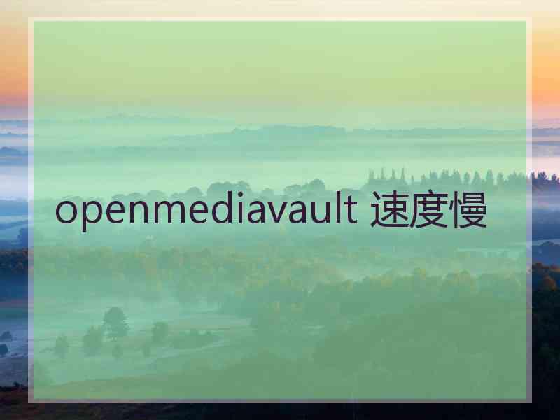 openmediavault 速度慢