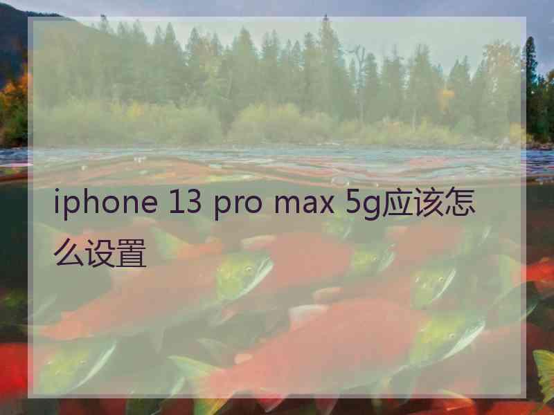 iphone 13 pro max 5g应该怎么设置