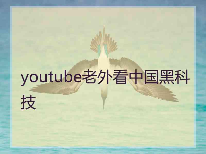 youtube老外看中国黑科技