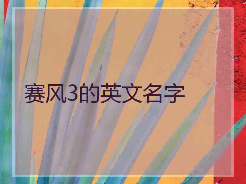 赛风3的英文名字