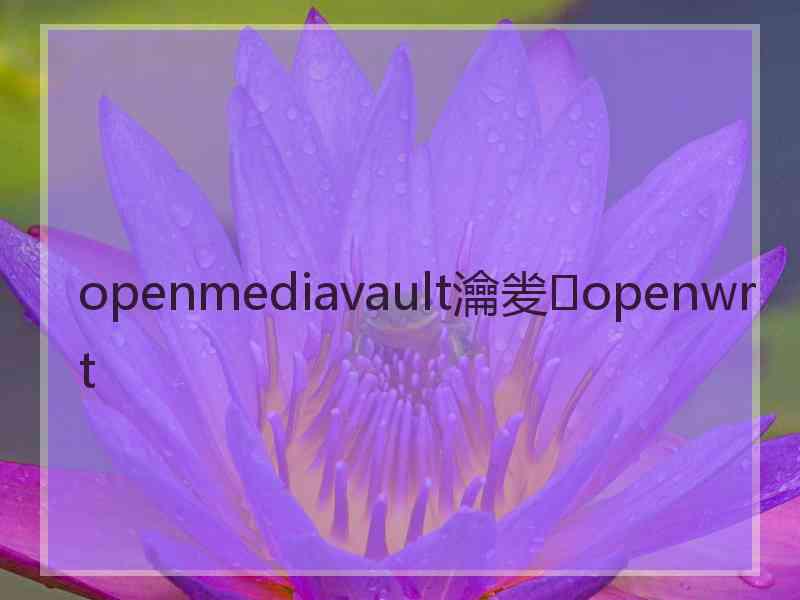 openmediavault瀹夎openwrt