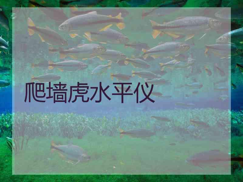 爬墙虎水平仪