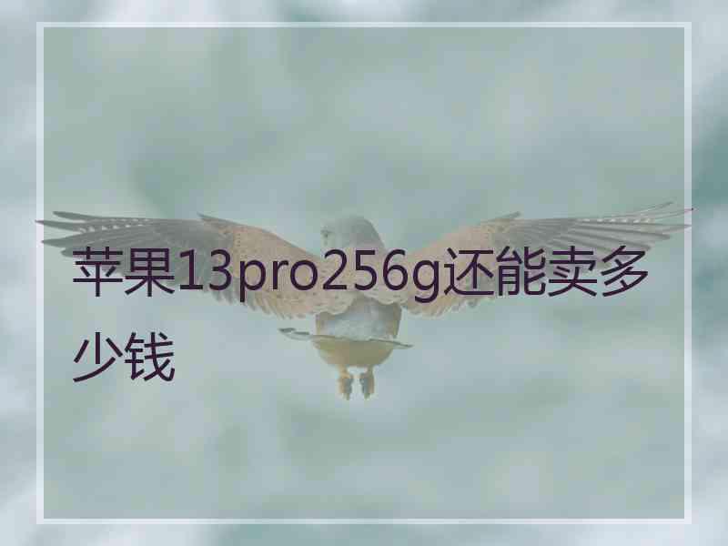 苹果13pro256g还能卖多少钱