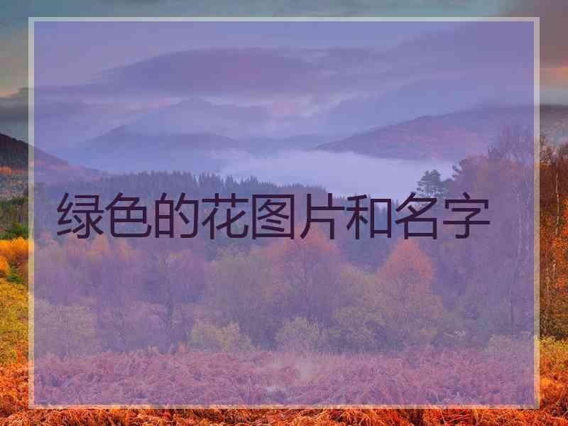 绿色的花图片和名字