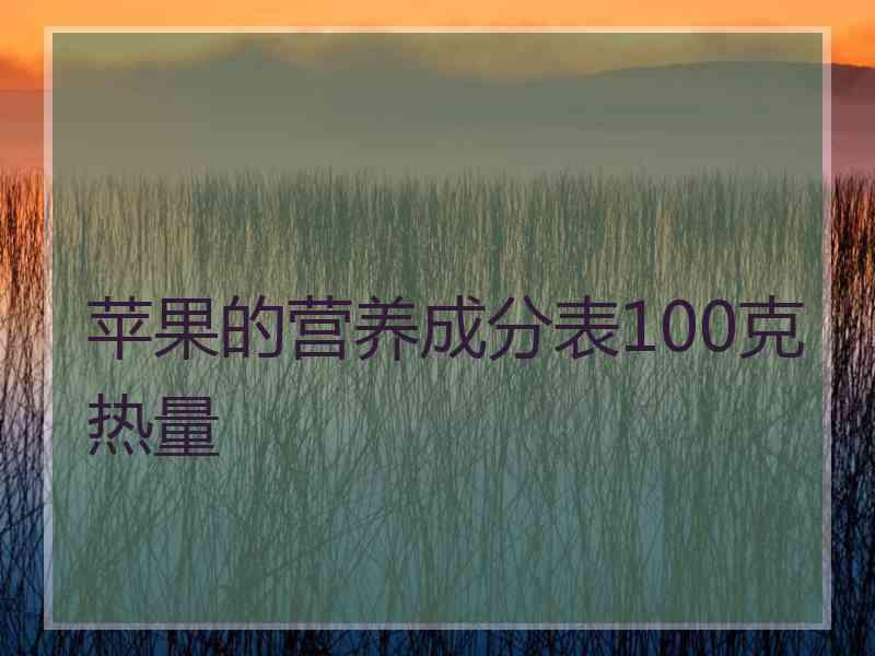 苹果的营养成分表100克热量