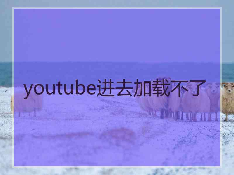 youtube进去加载不了