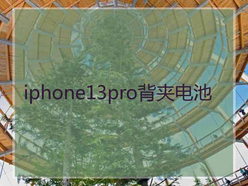 iphone13pro背夹电池