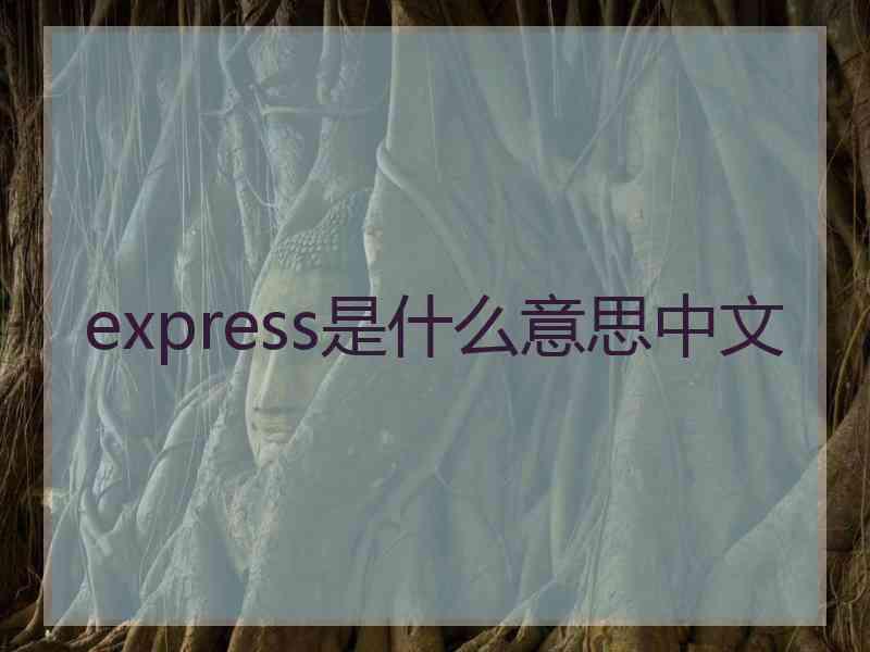 express是什么意思中文