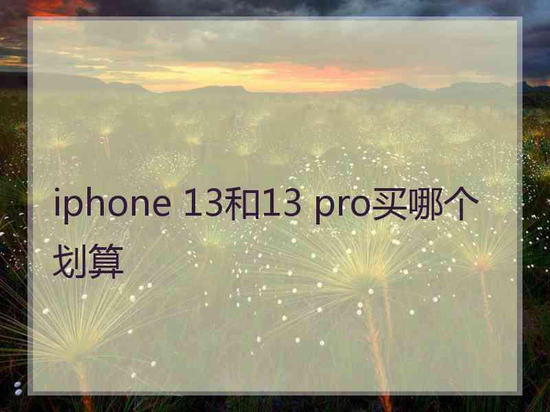 iphone 13和13 pro买哪个划算