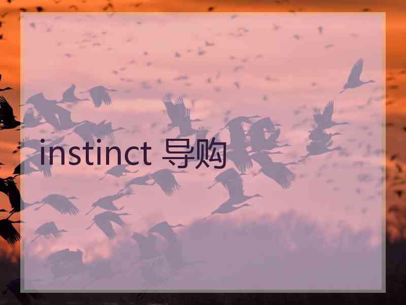 instinct 导购