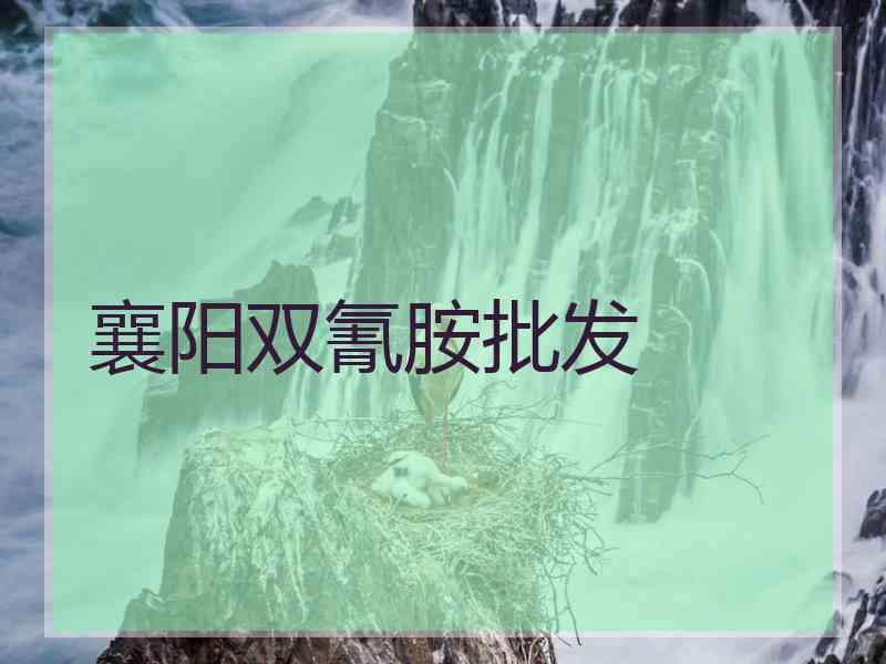 襄阳双氰胺批发