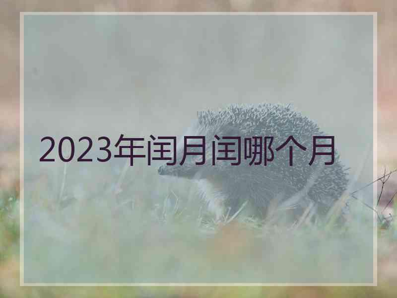 2023年闰月闰哪个月