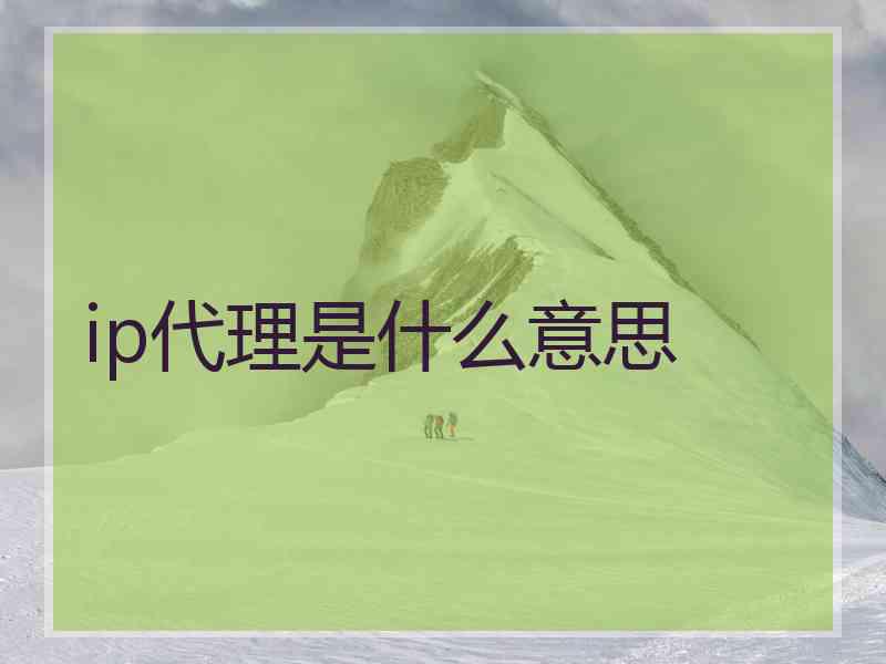 ip代理是什么意思