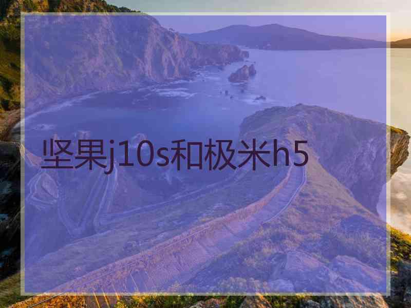 坚果j10s和极米h5