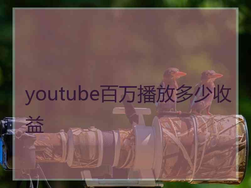 youtube百万播放多少收益