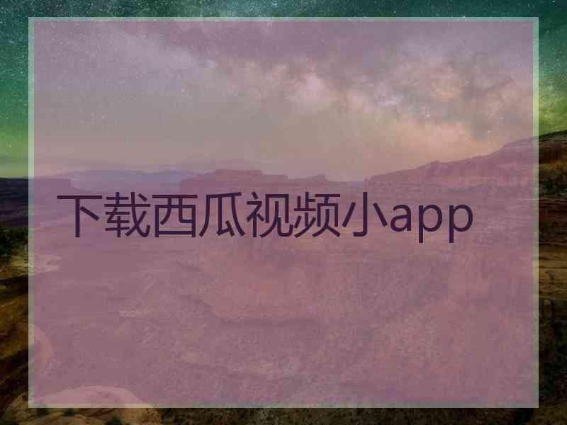 下载西瓜视频小app