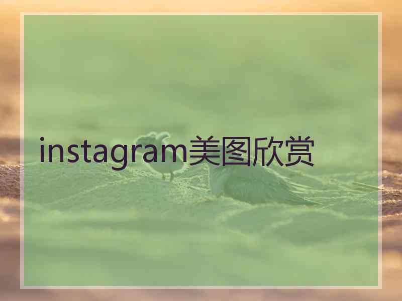 instagram美图欣赏